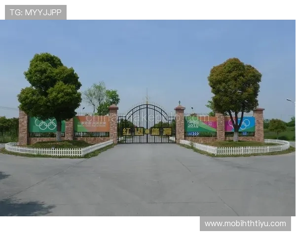 华体体育发展股份有限公司在体育版权运营中的优势与市场拓展策略分析